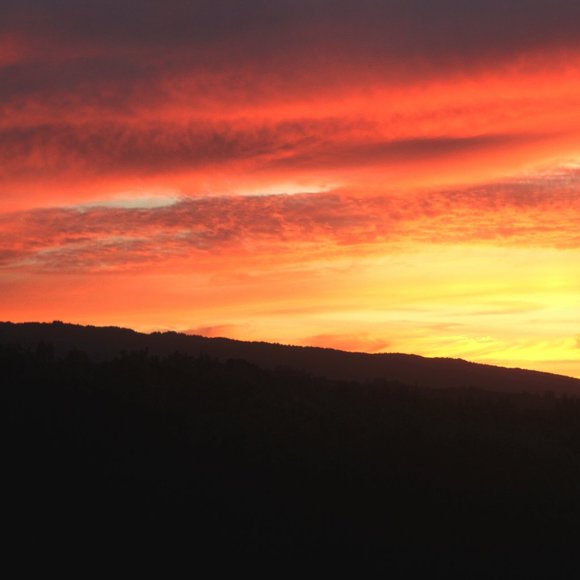 Meet your Posher, Dilan - Picture 1 of 1